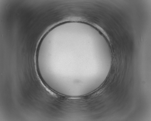 X0000082701343200702161740