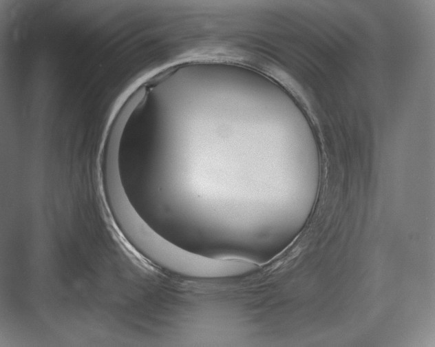 X0000082701344200702161740