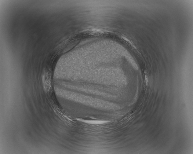 X0000082701348200702161739