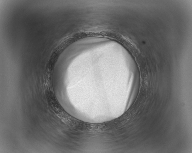 X0000082701350200702161739