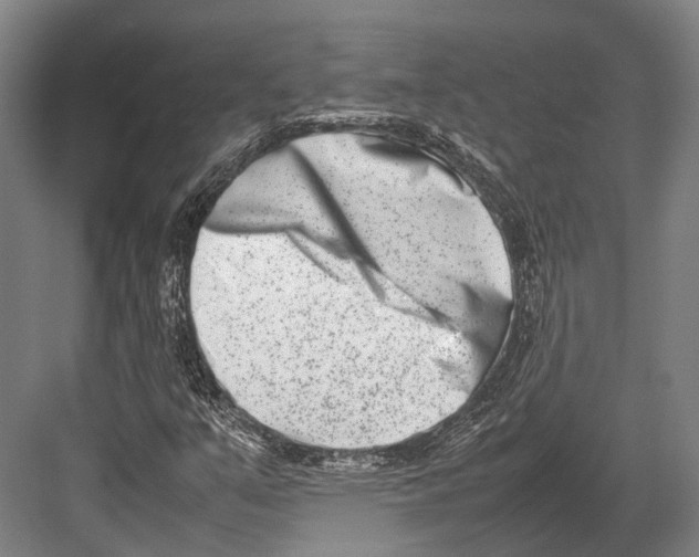 X0000082701351200702161739