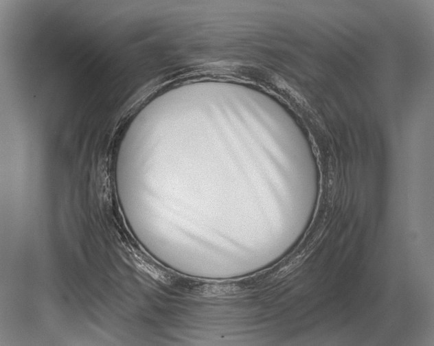 X0000082701354200702161739