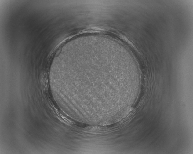 X0000082701355200702161739