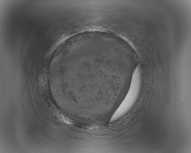 X0000082701359200702161739