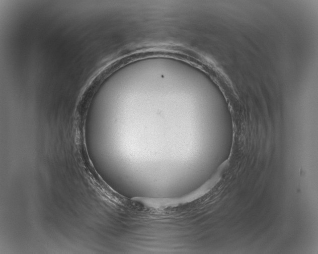 X0000082701360200702161739