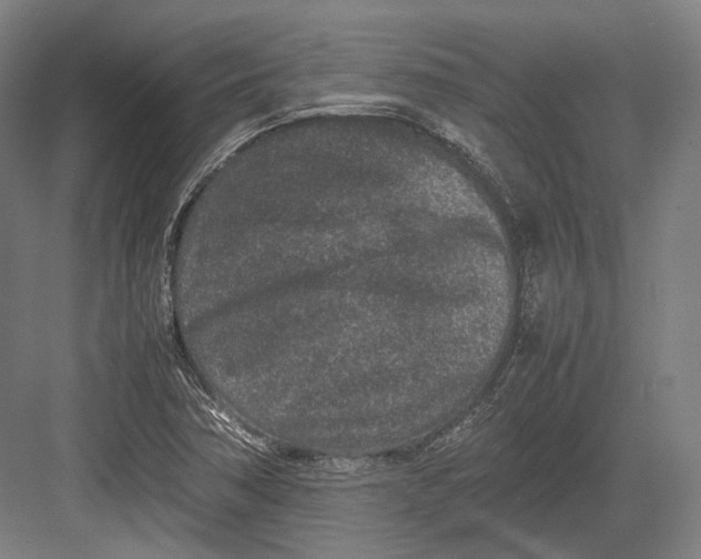 X0000082701362200702161739