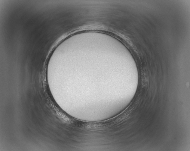 X0000082701366200702161739