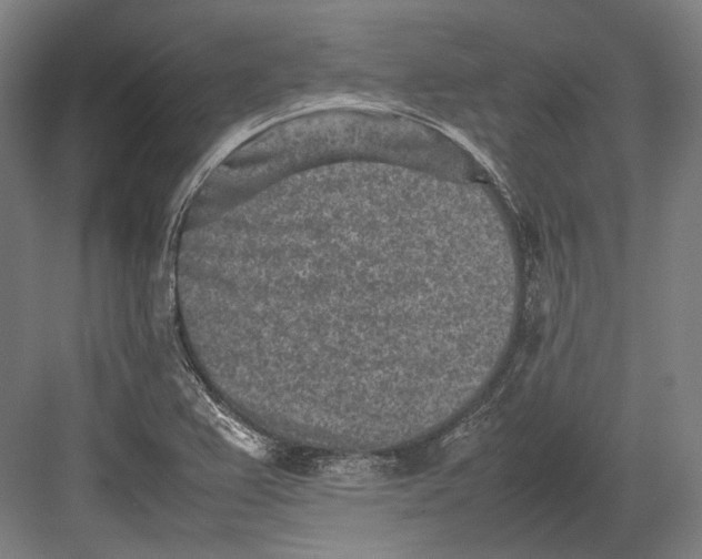 X0000082701367200702161739