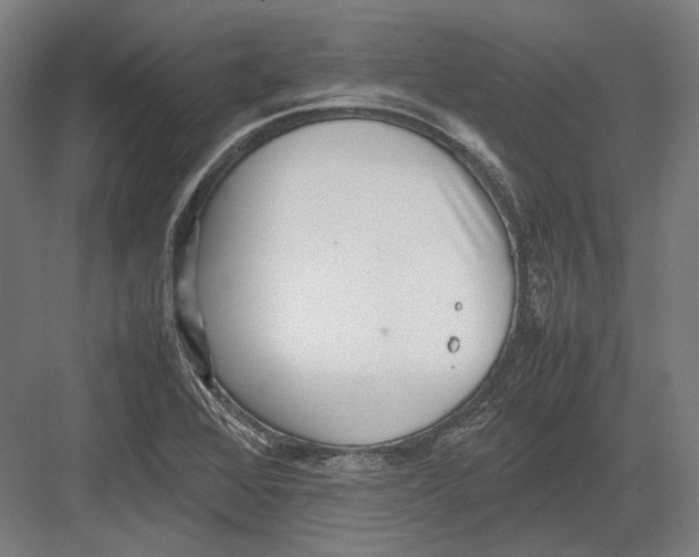 X0000082701368200702161739