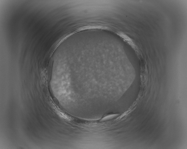 X0000082701369200702161739