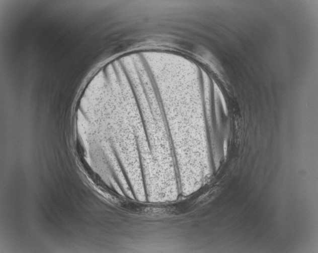 X0000082701371200702161739