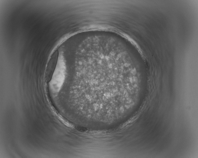 X0000082701373200702161739