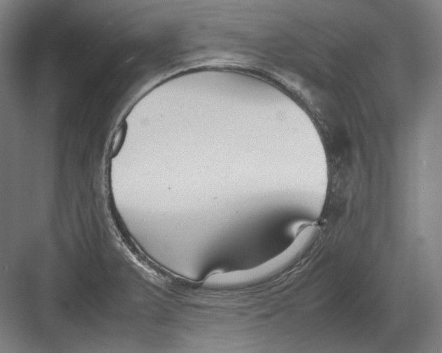 X0000082701375200702161739