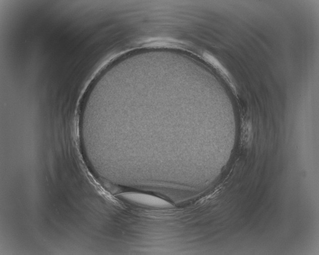 X0000082701376200702161739