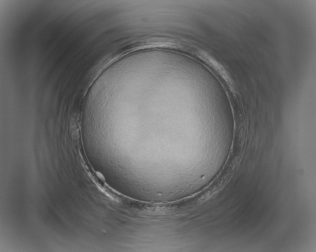 X0000082701377200702161739