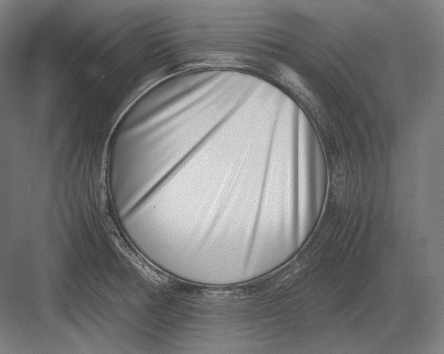 X0000082701378200702161739