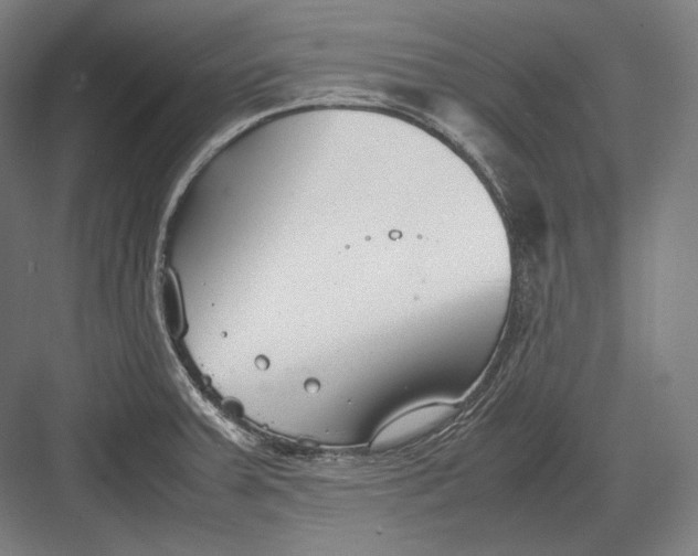 X0000082701379200702161739