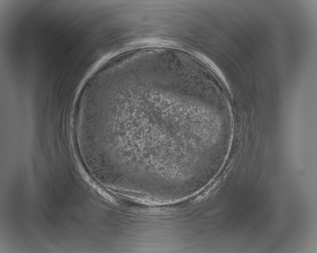 X0000082701381200702161739