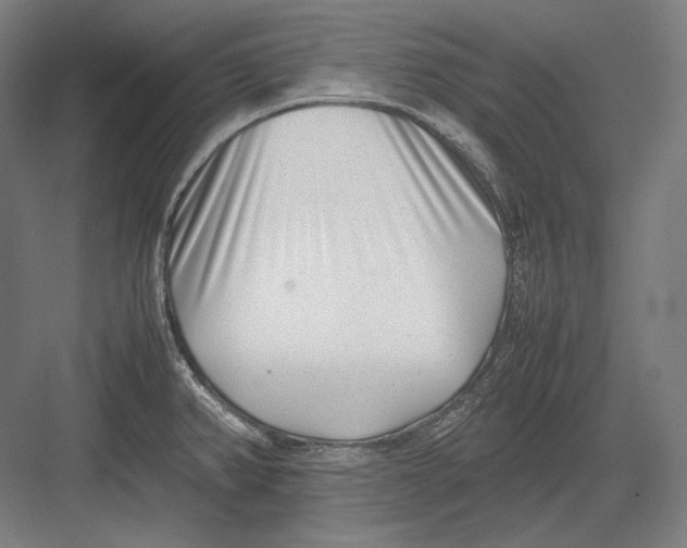 X0000082701382200702161739