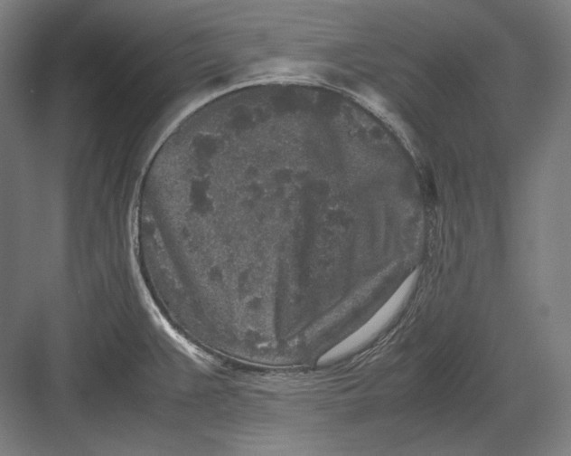 X0000082701383200702161738