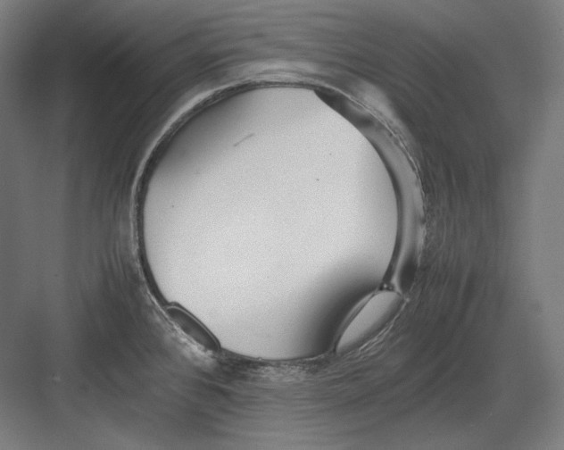 X0000082701384200702161738