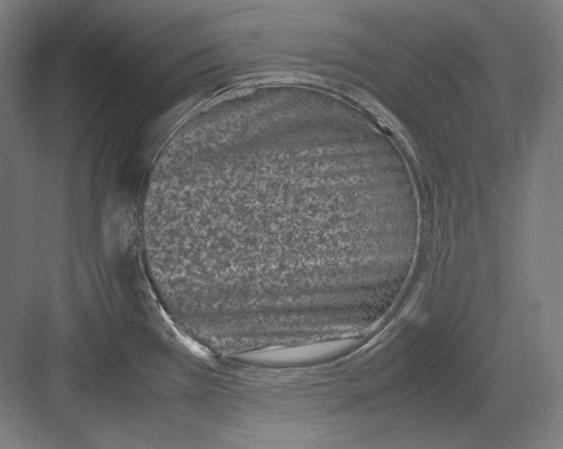 X0000082701385200702161738