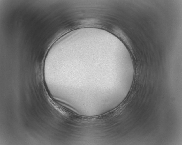 X0000082701386200702161738