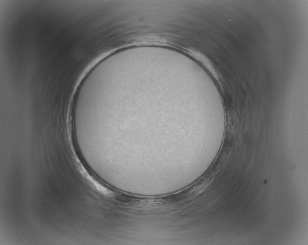 X0000082701387200702161738