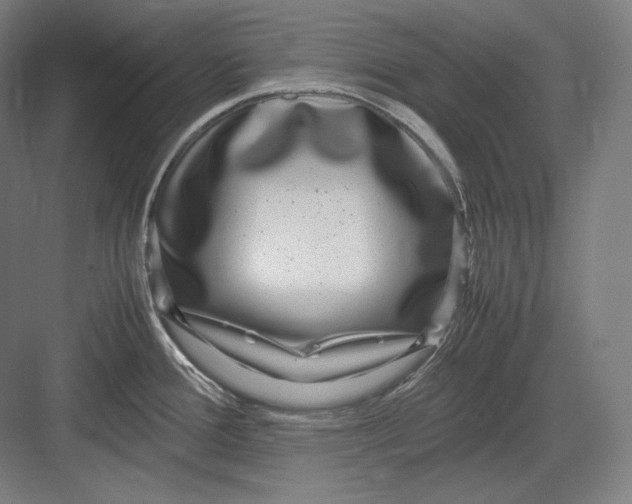 X0000082701388200702161738