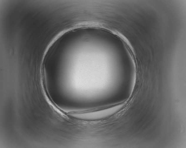 X0000082701389200702161738