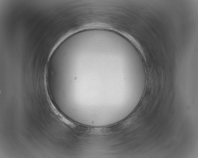 X0000082701390200702161738