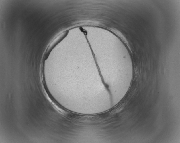 X0000082701391200702161738