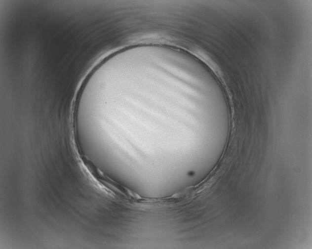 X0000082701392200702161738