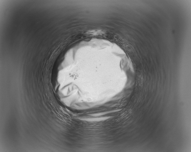 X0000082701393200702161738