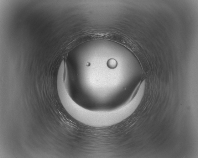 X0000082701394200702161738