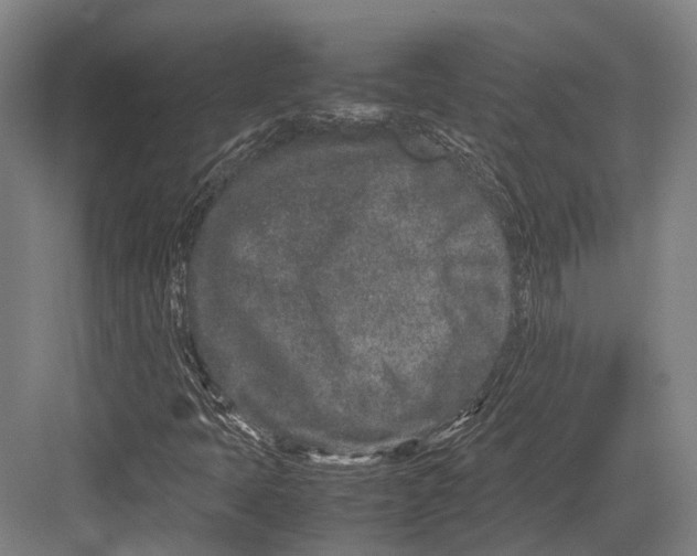 X0000082701397200702161738