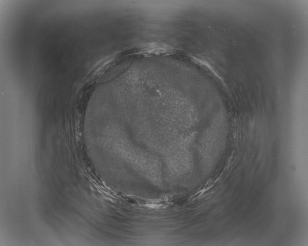 X0000082701399200702161738