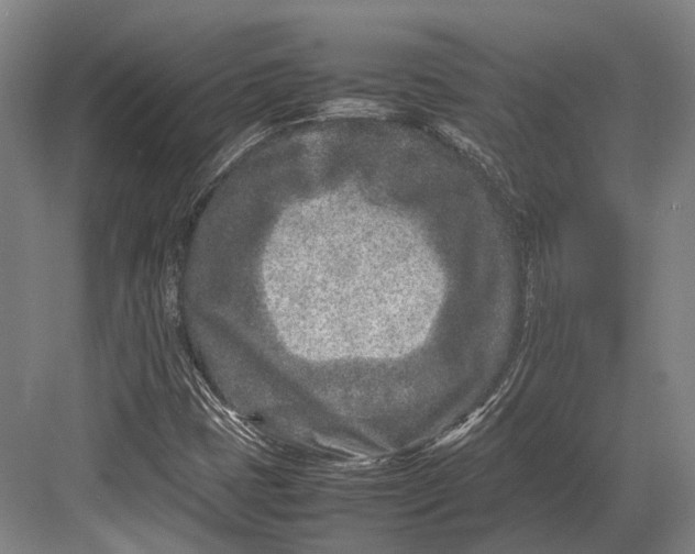 X0000082701401200702161738