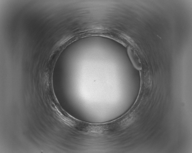 X0000082701402200702161738