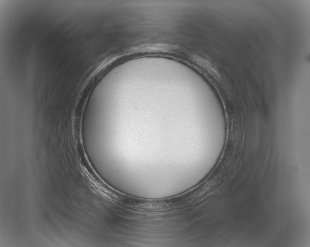 X0000082701404200702161738