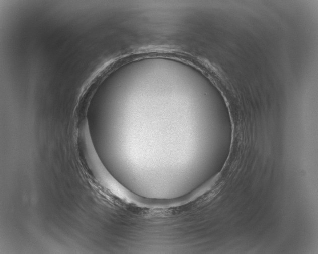 X0000082701406200702161738