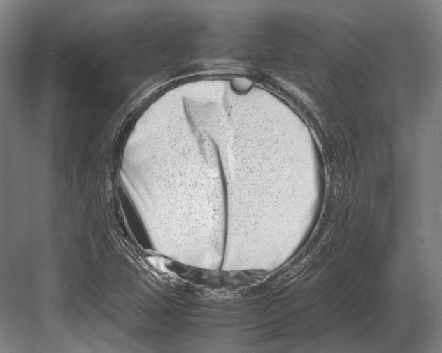 X0000082701407200702161738