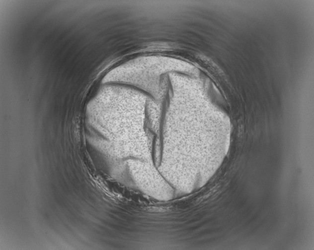 X0000082701409200702161738