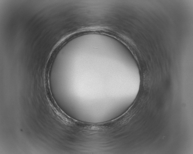 X0000082701412200702161738