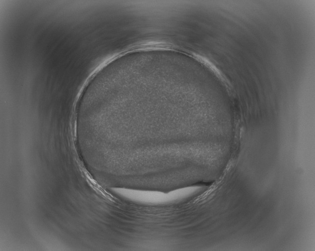 X0000082701413200702161738