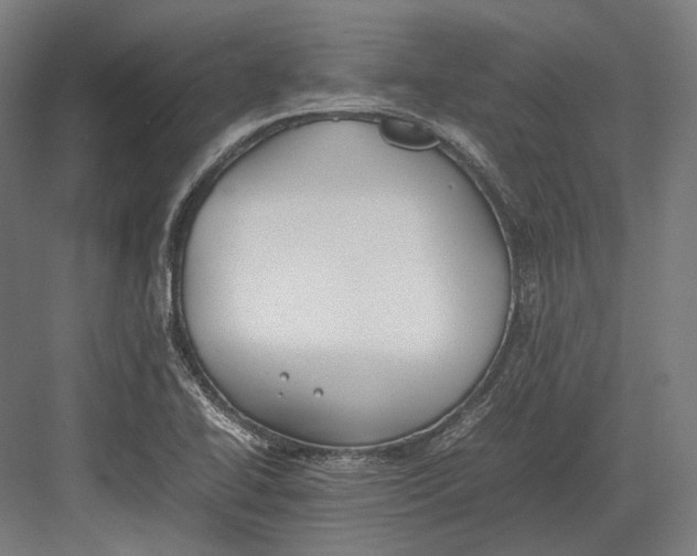 X0000082701414200702161738