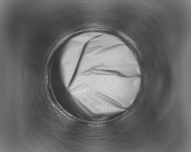 X0000082701415200702161738