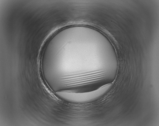 X0000082701416200702161738