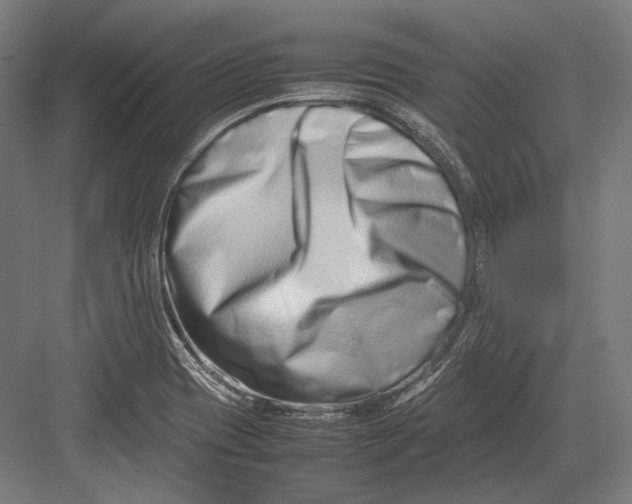 X0000082701417200702161738