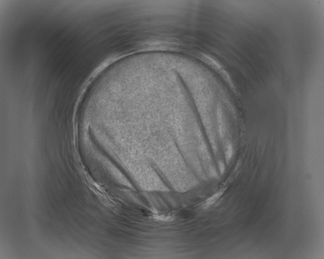 X0000082701419200702161738